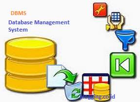 10 Fungsi DBMS