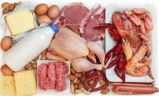 fungsi protein