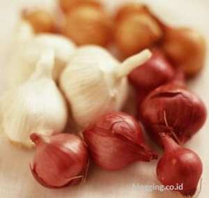 obat sakit gigi