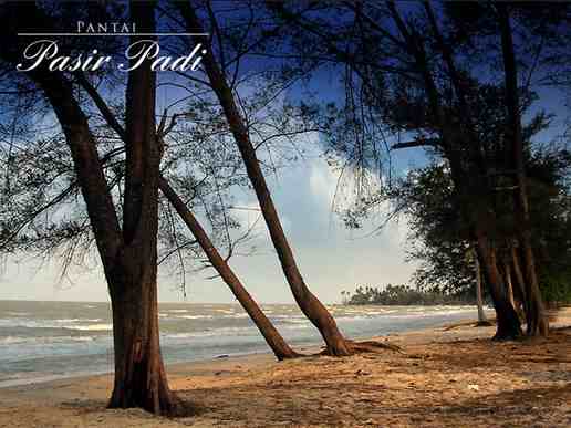 Pantai Pasir Padi