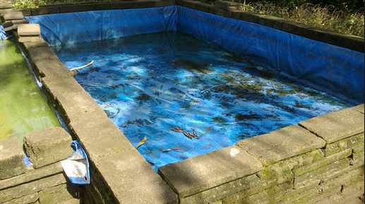 Cara Budidaya Ikan Lele, Ternak Lele Di Kolam Terpal