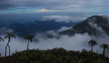 gunung tertinggi di Indonesia
