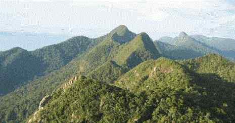 gunung tertinggi di Indonesia