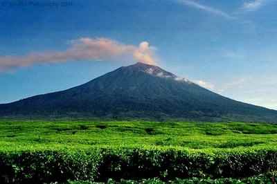 gunung tertinggi di Indonesia