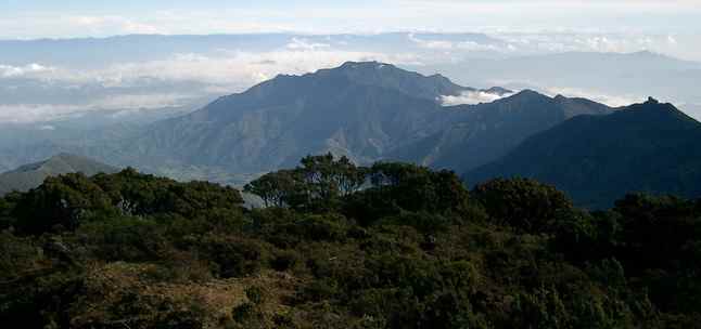 gunung tertinggi di Indonesia